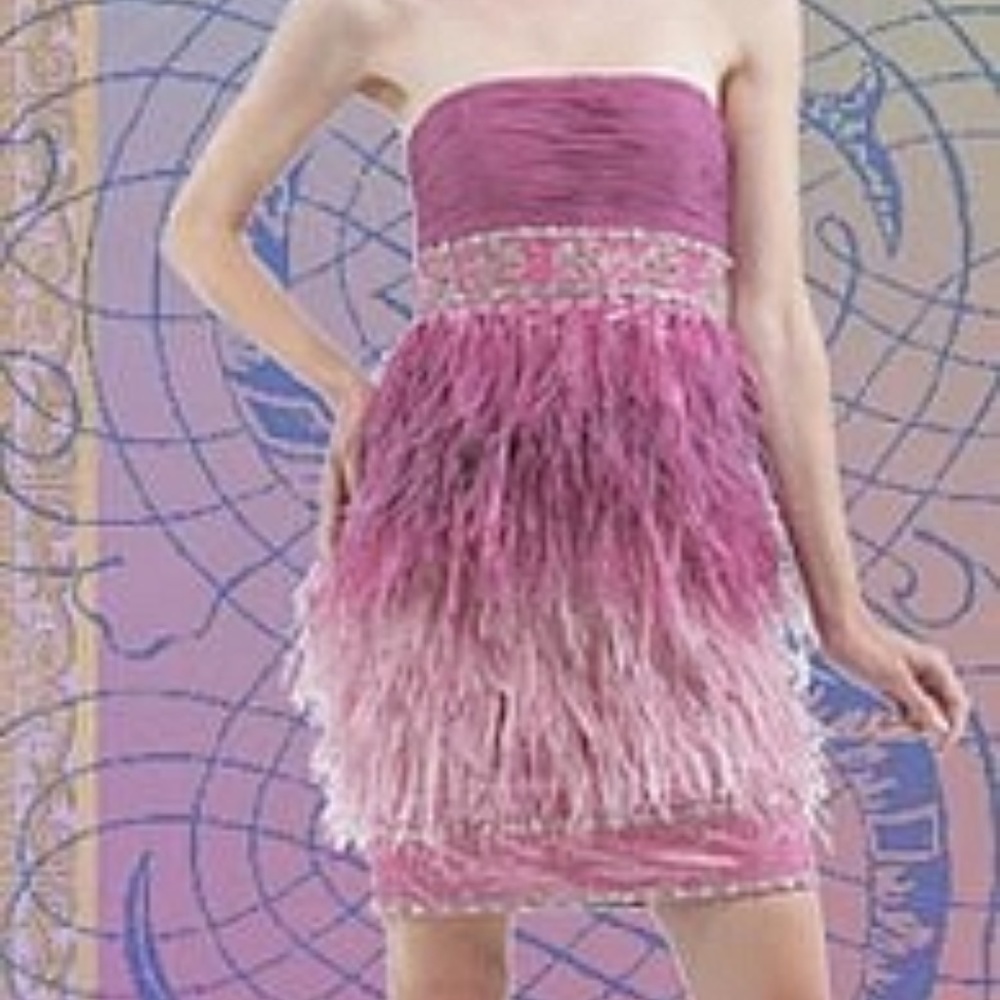 NWT Sue Wong Color Block Ostrich Dress